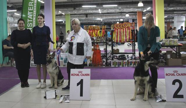 http://upforme.ru/uploads/000b/fb/4c/6/59534.jpg