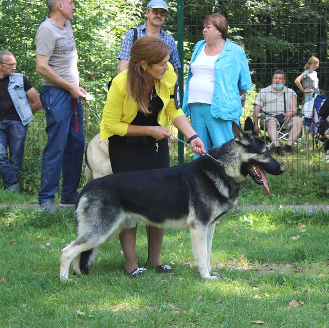 http://upforme.ru/uploads/000b/fb/4c/6/596867.jpg