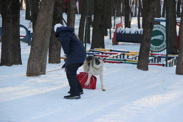 http://upforme.ru/uploads/000b/fb/4c/6/59721.jpg