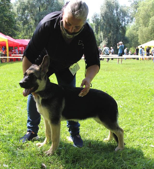 http://upforme.ru/uploads/000b/fb/4c/6/598395.jpg