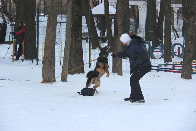http://upforme.ru/uploads/000b/fb/4c/6/59872.jpg
