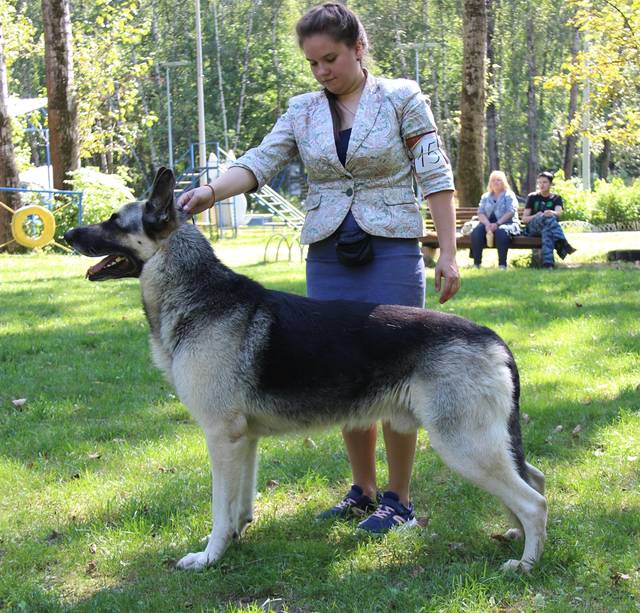 http://upforme.ru/uploads/000b/fb/4c/6/611680.jpg