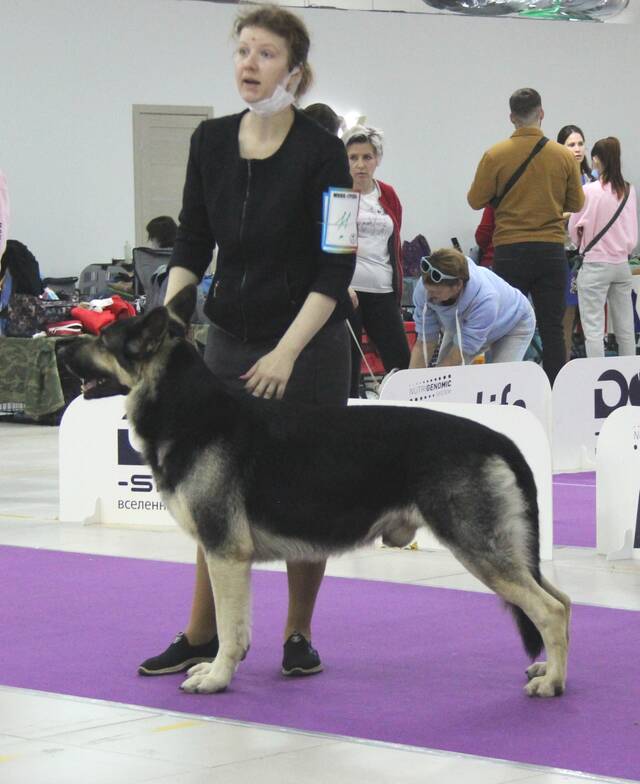 http://upforme.ru/uploads/000b/fb/4c/6/617353.jpg
