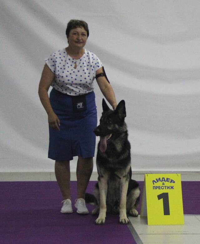 http://upforme.ru/uploads/000b/fb/4c/6/621248.jpg