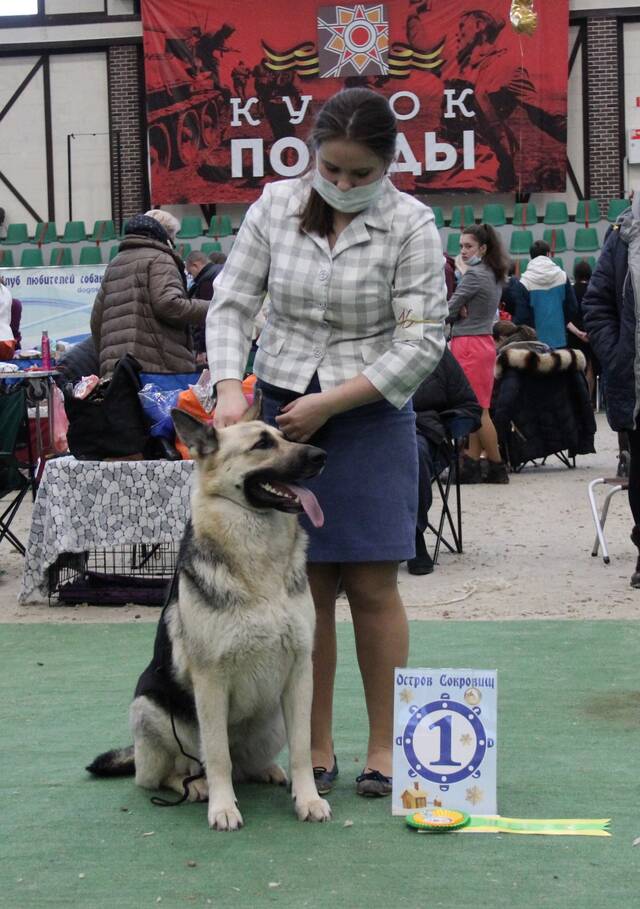 http://upforme.ru/uploads/000b/fb/4c/6/621765.jpg