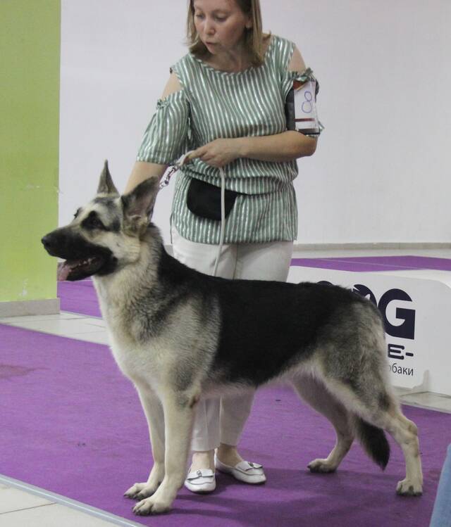 http://upforme.ru/uploads/000b/fb/4c/6/623903.jpg