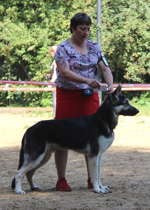 http://upforme.ru/uploads/000b/fb/4c/6/624428.jpg