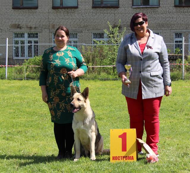 http://upforme.ru/uploads/000b/fb/4c/6/628856.jpg