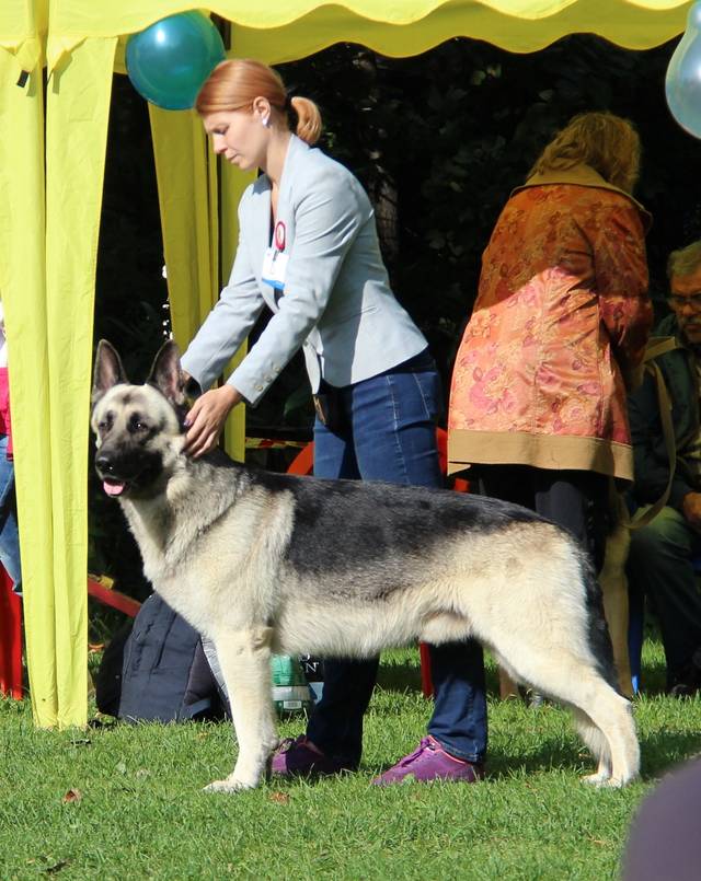http://upforme.ru/uploads/000b/fb/4c/6/645475.jpg