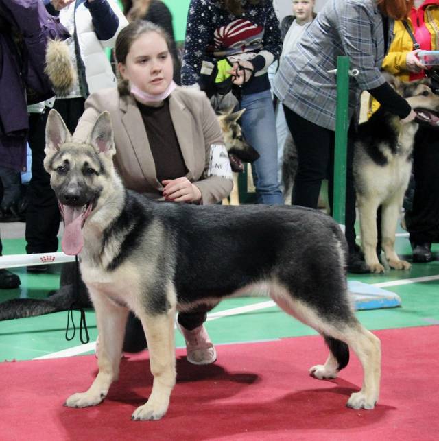 http://upforme.ru/uploads/000b/fb/4c/6/65247.jpg