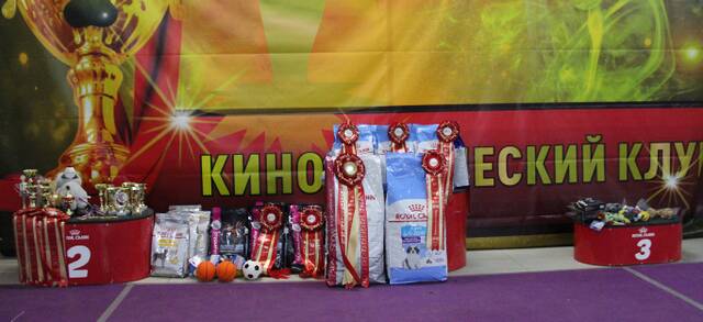 http://upforme.ru/uploads/000b/fb/4c/6/653359.jpg