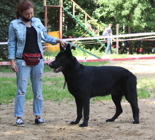 http://upforme.ru/uploads/000b/fb/4c/6/669045.jpg