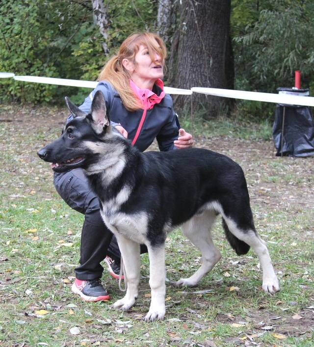 http://upforme.ru/uploads/000b/fb/4c/6/690618.jpg