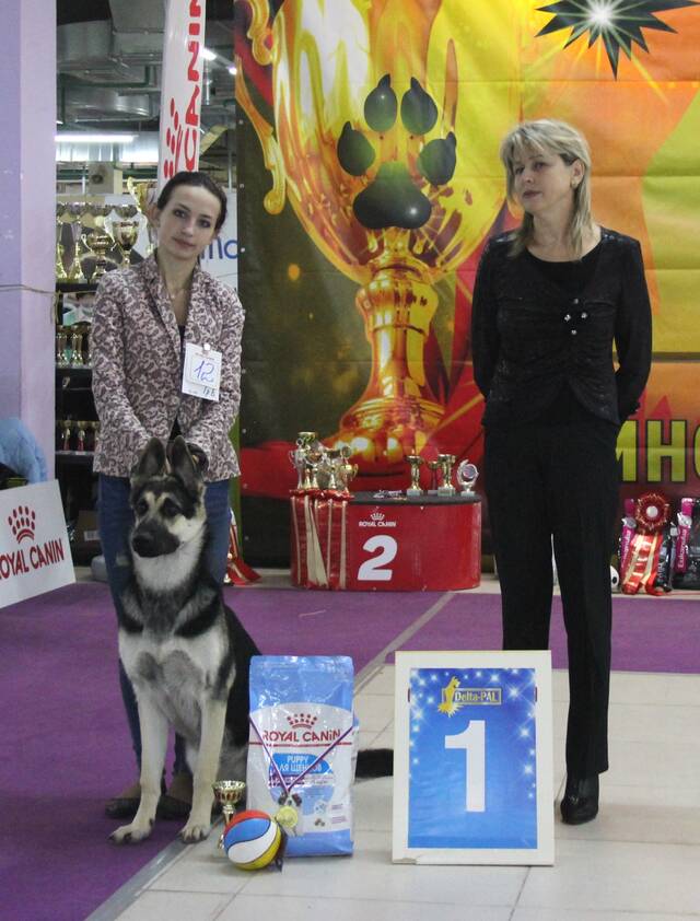 http://upforme.ru/uploads/000b/fb/4c/6/710278.jpg