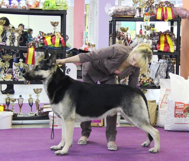 http://upforme.ru/uploads/000b/fb/4c/6/71526.jpg