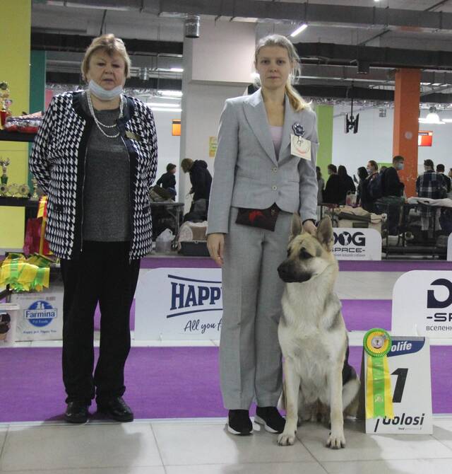 http://upforme.ru/uploads/000b/fb/4c/6/721760.jpg