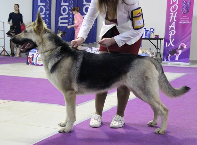 http://upforme.ru/uploads/000b/fb/4c/6/72296.jpg