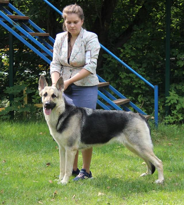 http://upforme.ru/uploads/000b/fb/4c/6/724006.jpg