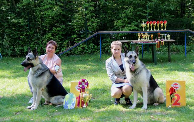 http://upforme.ru/uploads/000b/fb/4c/6/727342.jpg