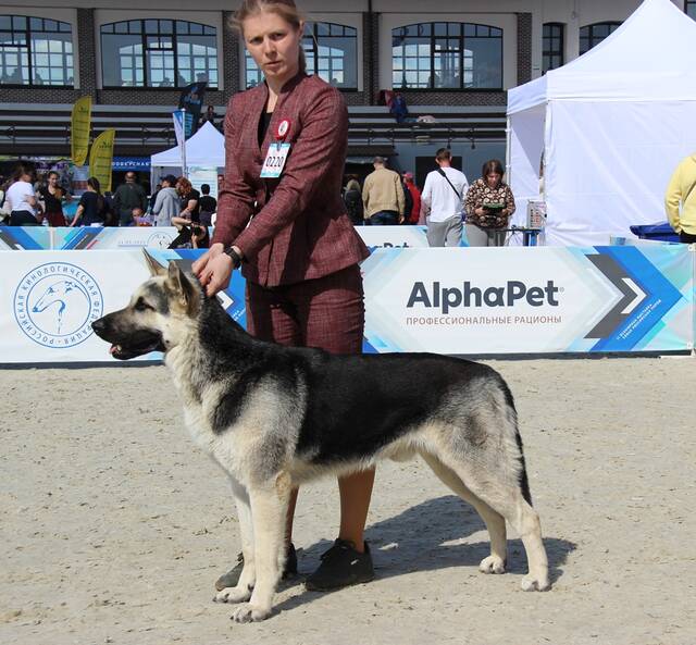 http://upforme.ru/uploads/000b/fb/4c/6/732864.jpg