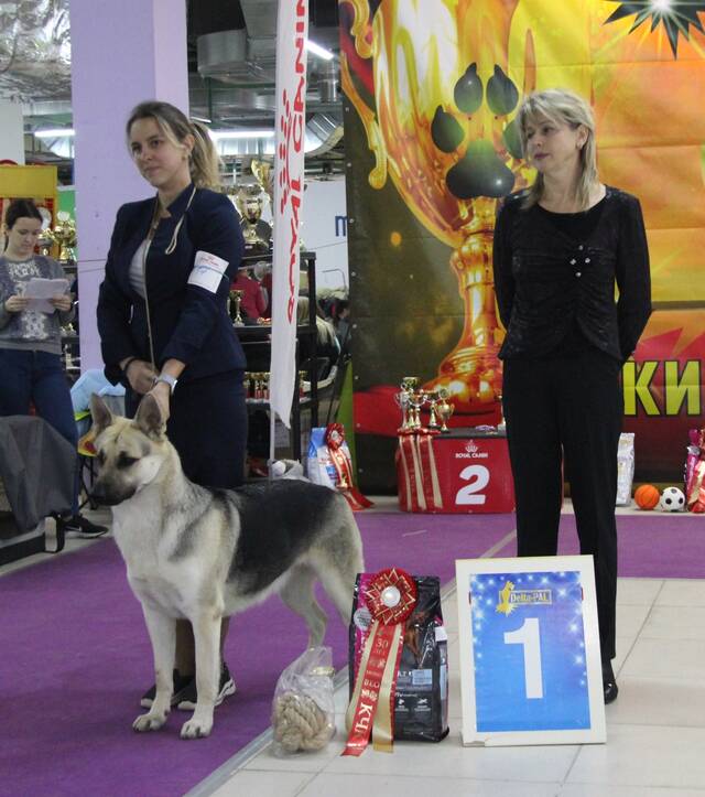 http://upforme.ru/uploads/000b/fb/4c/6/737362.jpg