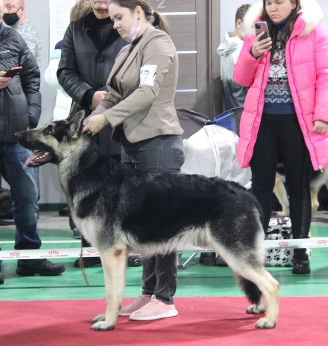 http://upforme.ru/uploads/000b/fb/4c/6/737820.jpg