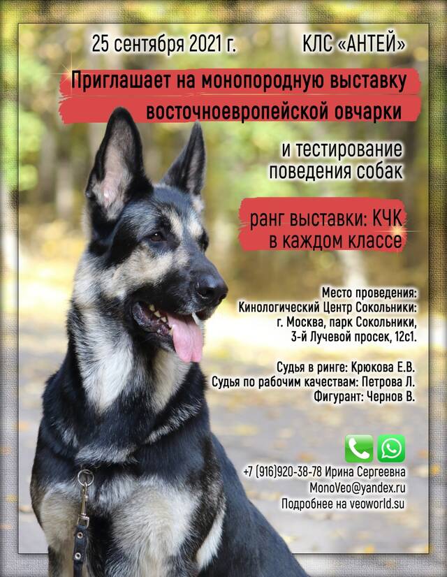 http://upforme.ru/uploads/000b/fb/4c/6/757045.jpg