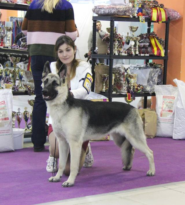 http://upforme.ru/uploads/000b/fb/4c/6/75910.jpg