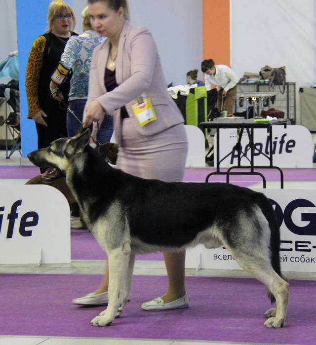 http://upforme.ru/uploads/000b/fb/4c/6/76292.jpg