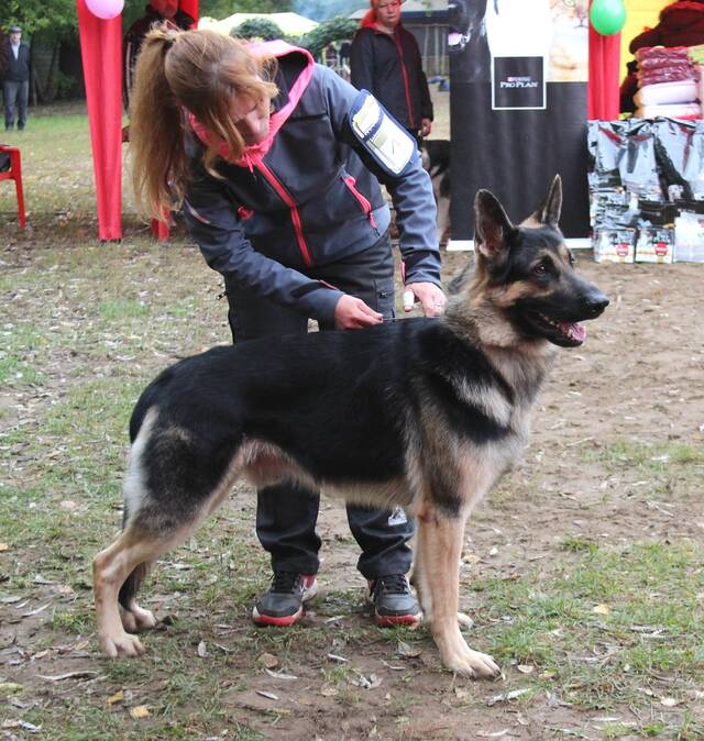 http://upforme.ru/uploads/000b/fb/4c/6/770102.jpg
