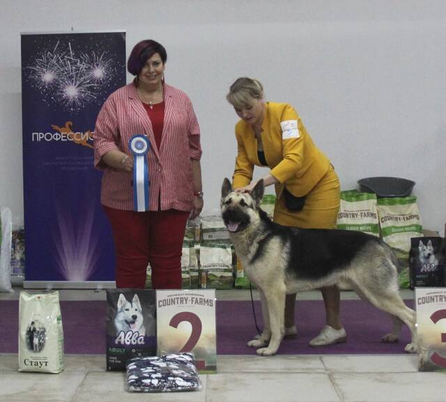 http://upforme.ru/uploads/000b/fb/4c/6/77146.jpg