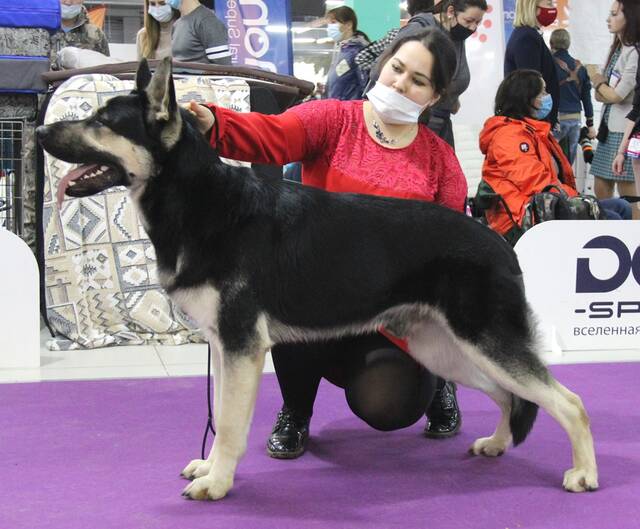 http://upforme.ru/uploads/000b/fb/4c/6/77642.jpg