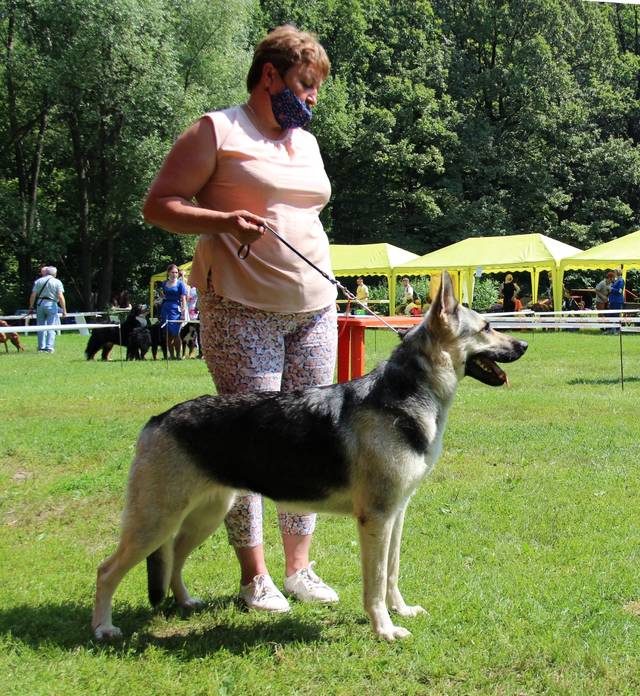 http://upforme.ru/uploads/000b/fb/4c/6/776883.jpg