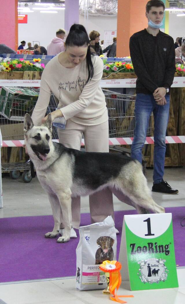 http://upforme.ru/uploads/000b/fb/4c/6/788403.jpg