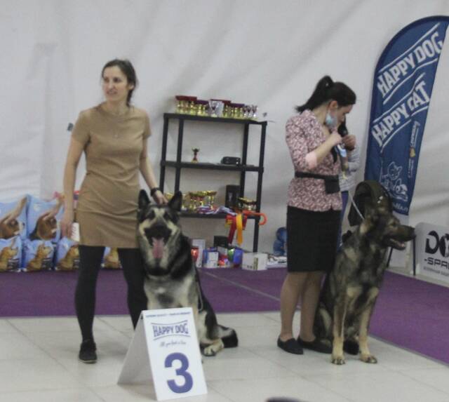 http://upforme.ru/uploads/000b/fb/4c/6/804507.jpg