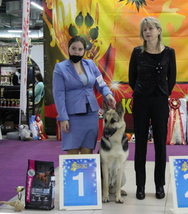 http://upforme.ru/uploads/000b/fb/4c/6/811847.jpg