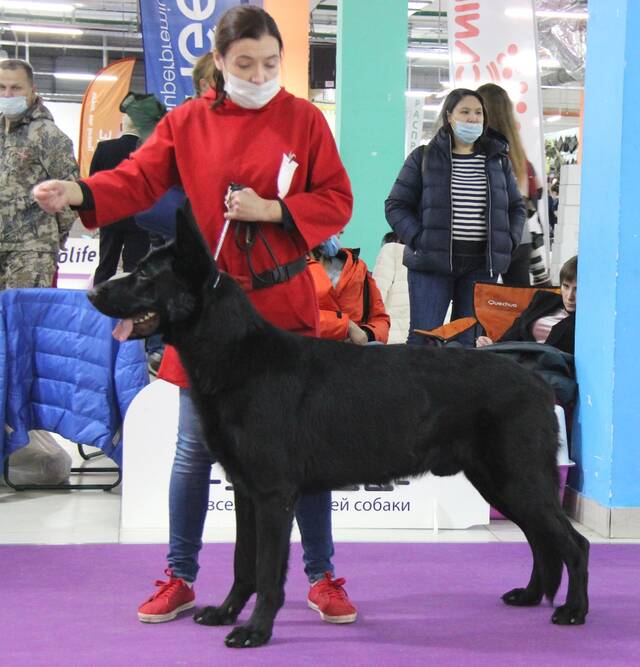 http://upforme.ru/uploads/000b/fb/4c/6/823244.jpg