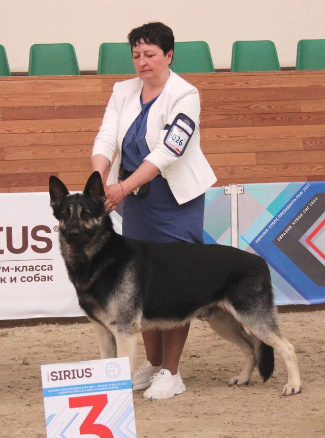 http://upforme.ru/uploads/000b/fb/4c/6/836319.jpg