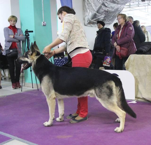http://upforme.ru/uploads/000b/fb/4c/6/86607.jpg