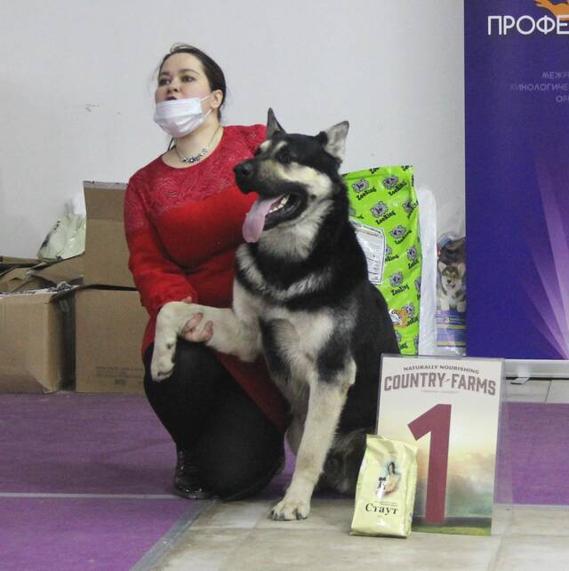 http://upforme.ru/uploads/000b/fb/4c/6/873036.jpg