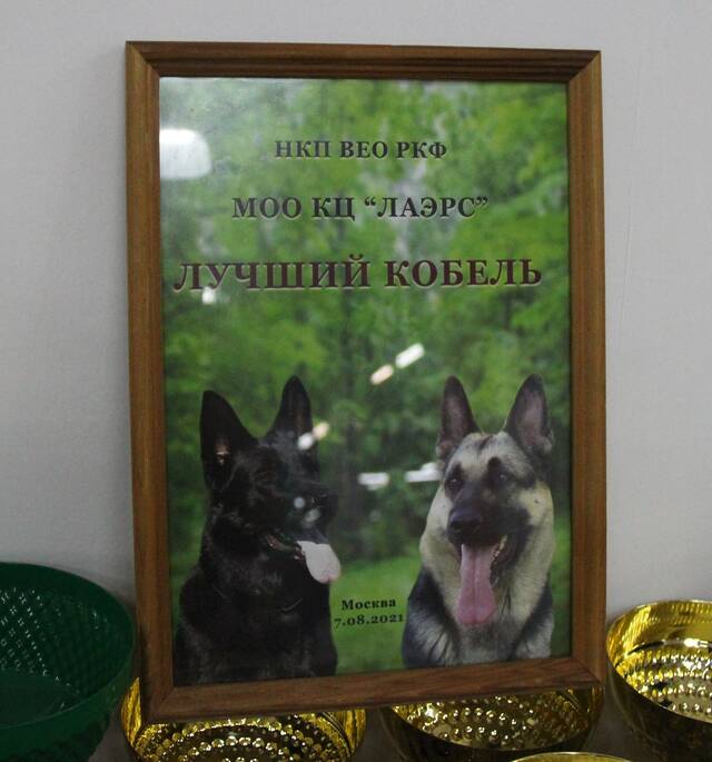 http://upforme.ru/uploads/000b/fb/4c/6/873163.jpg