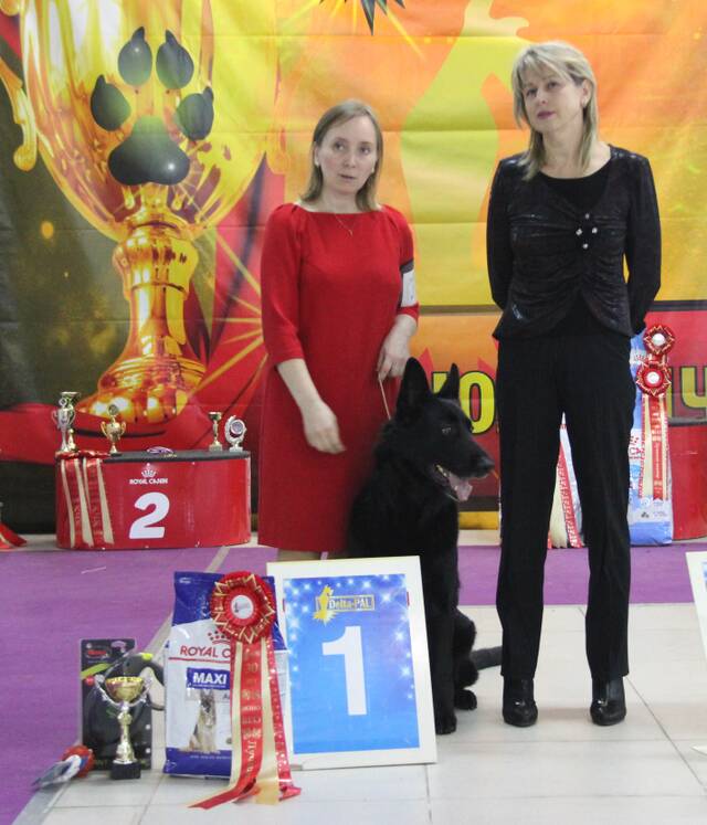 http://upforme.ru/uploads/000b/fb/4c/6/873242.jpg