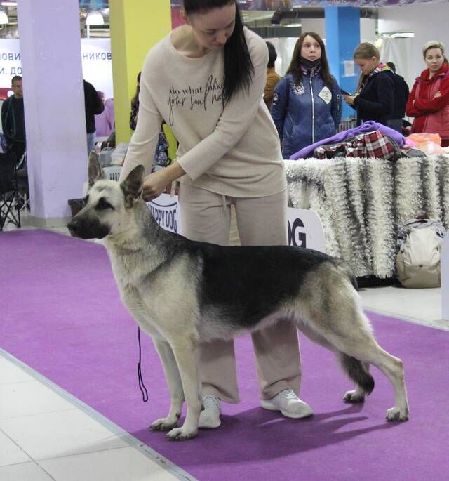 http://upforme.ru/uploads/000b/fb/4c/6/875817.jpg