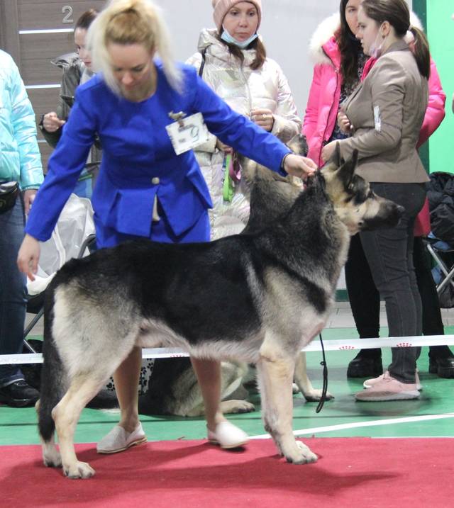 http://upforme.ru/uploads/000b/fb/4c/6/88381.jpg