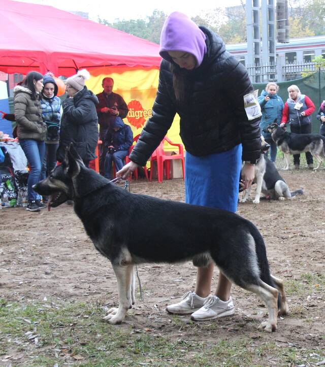 http://upforme.ru/uploads/000b/fb/4c/6/891272.jpg
