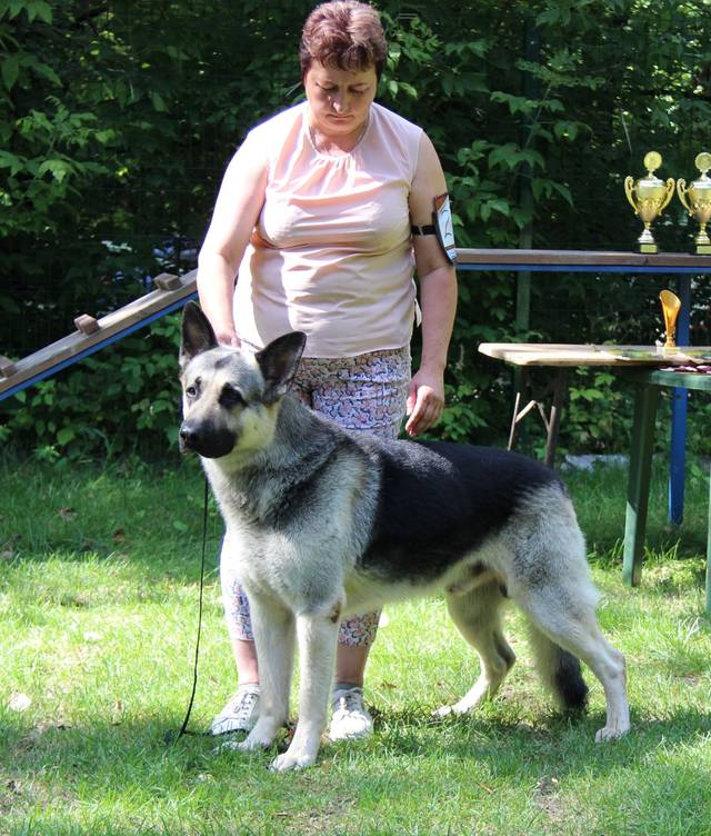 http://upforme.ru/uploads/000b/fb/4c/6/913688.jpg
