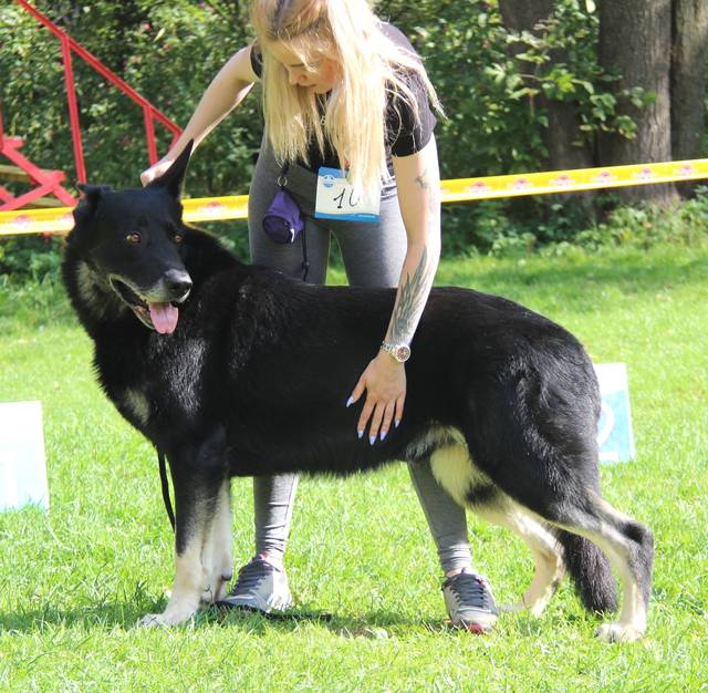 http://upforme.ru/uploads/000b/fb/4c/6/916192.jpg