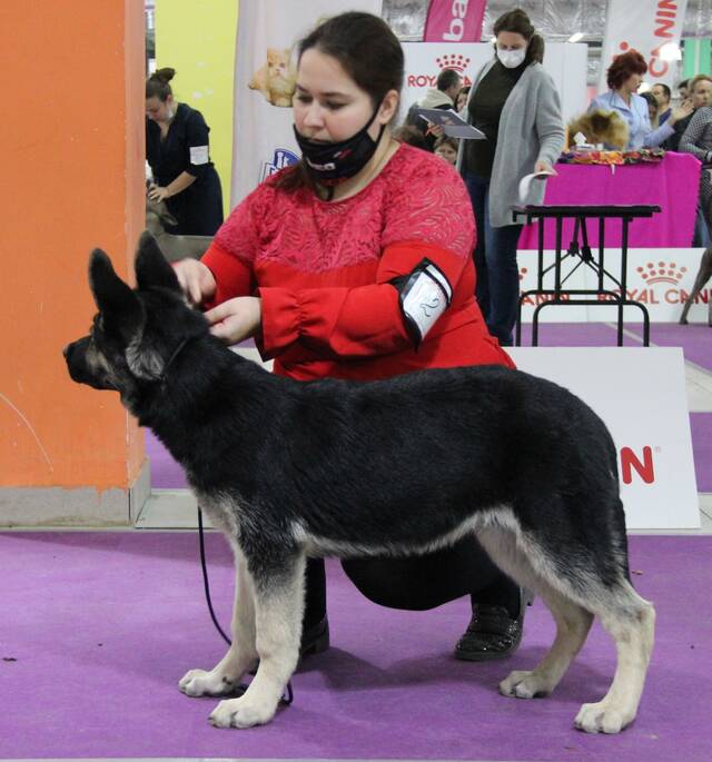 http://upforme.ru/uploads/000b/fb/4c/6/917080.jpg