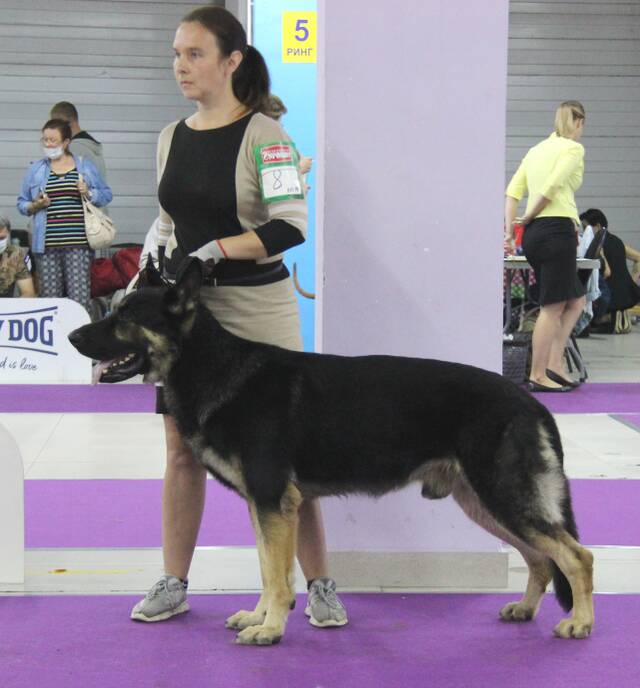 http://upforme.ru/uploads/000b/fb/4c/6/929169.jpg