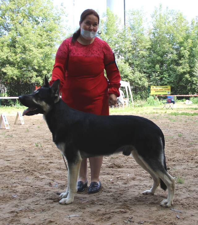 http://upforme.ru/uploads/000b/fb/4c/6/932517.jpg
